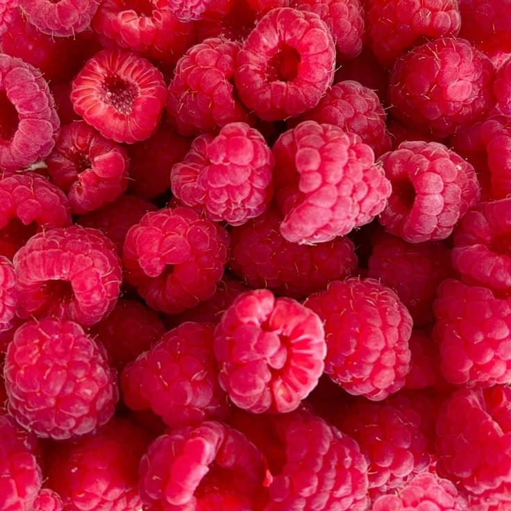Garden Fresh Symphony of Berries